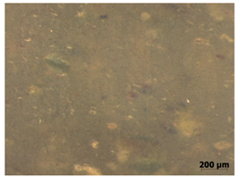 Polymers 15 00042 i004