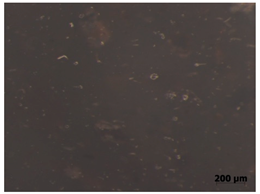 Polymers 15 00042 i006