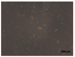 Polymers 15 00042 i008