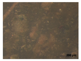 Polymers 15 00042 i010