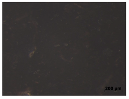 Polymers 15 00042 i011