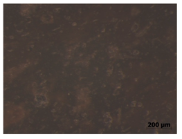 Polymers 15 00042 i012