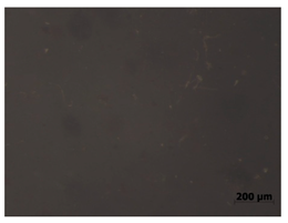 Polymers 15 00042 i014