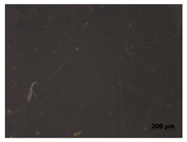 Polymers 15 00042 i017