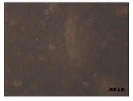 Polymers 15 00042 i018