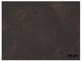 Polymers 15 00042 i021