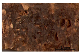 Polymers 15 00042 i027