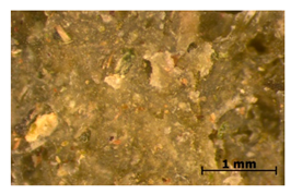 Polymers 15 00042 i028