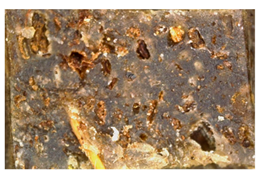 Polymers 15 00042 i029