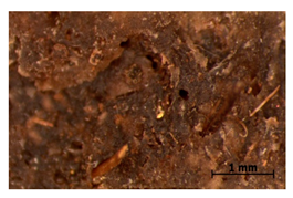 Polymers 15 00042 i030