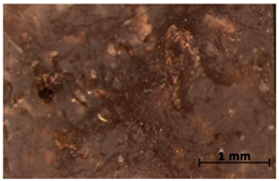 Polymers 15 00042 i033