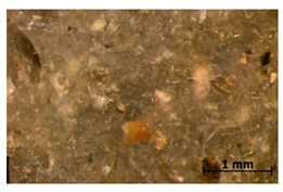 Polymers 15 00042 i034