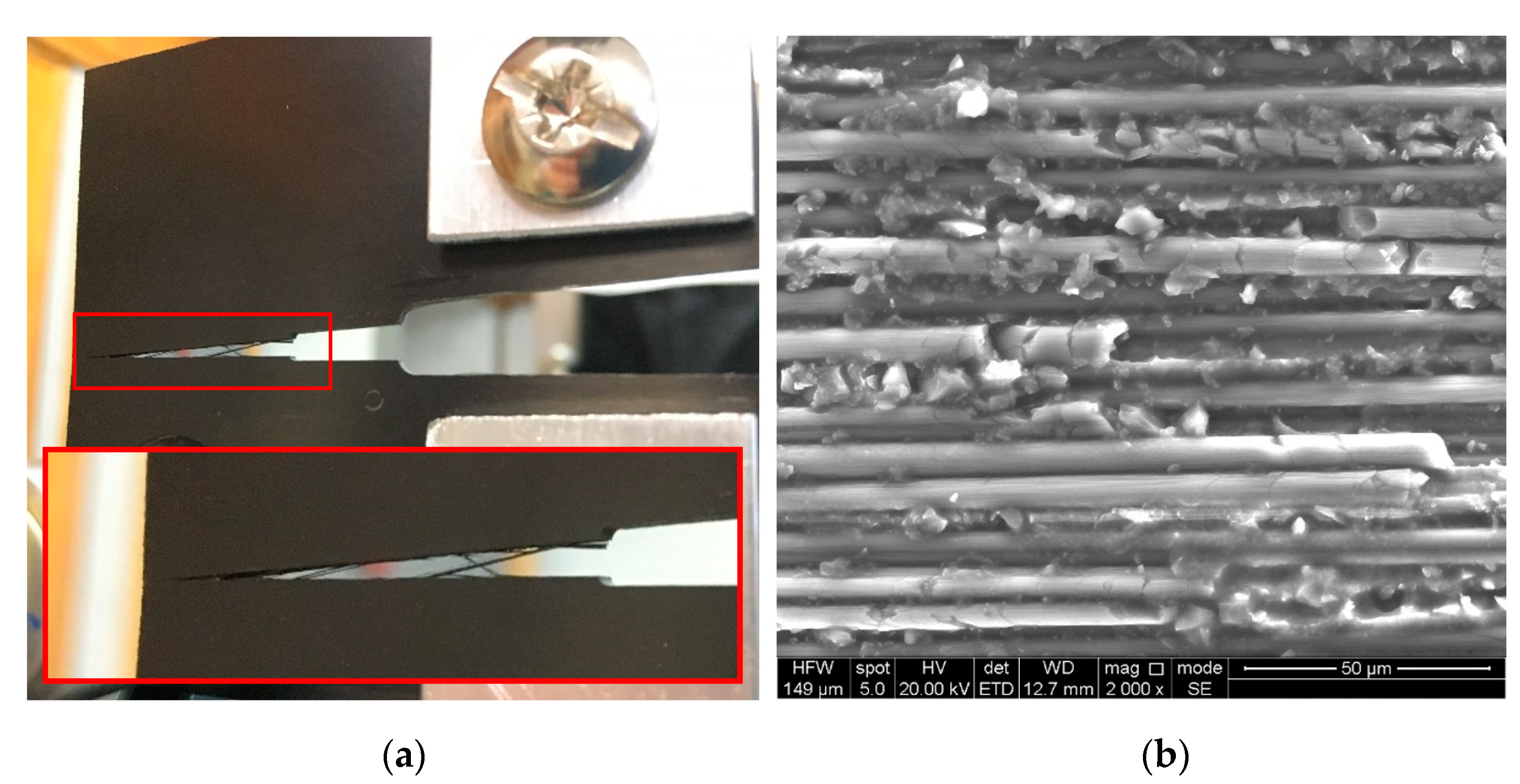 Polymers 15 00047 g006