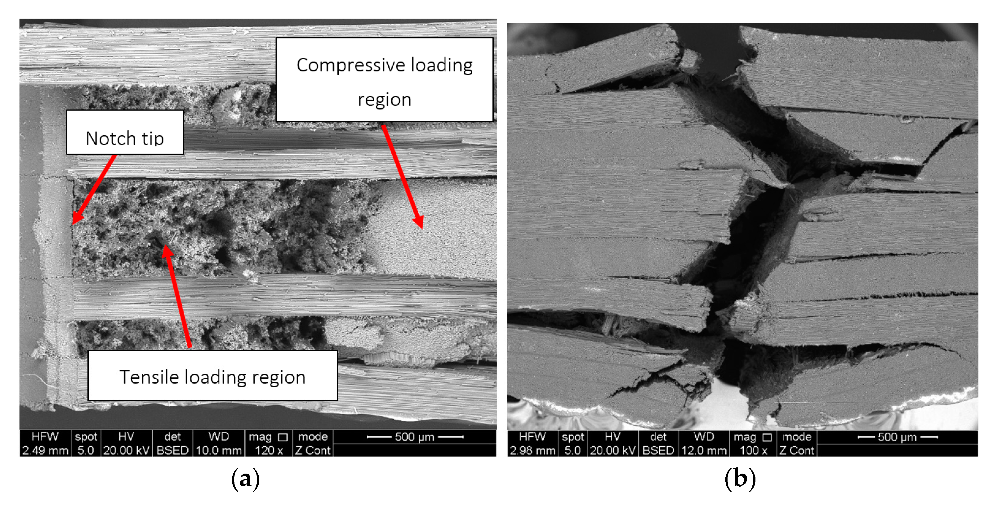Polymers 15 00047 g007a