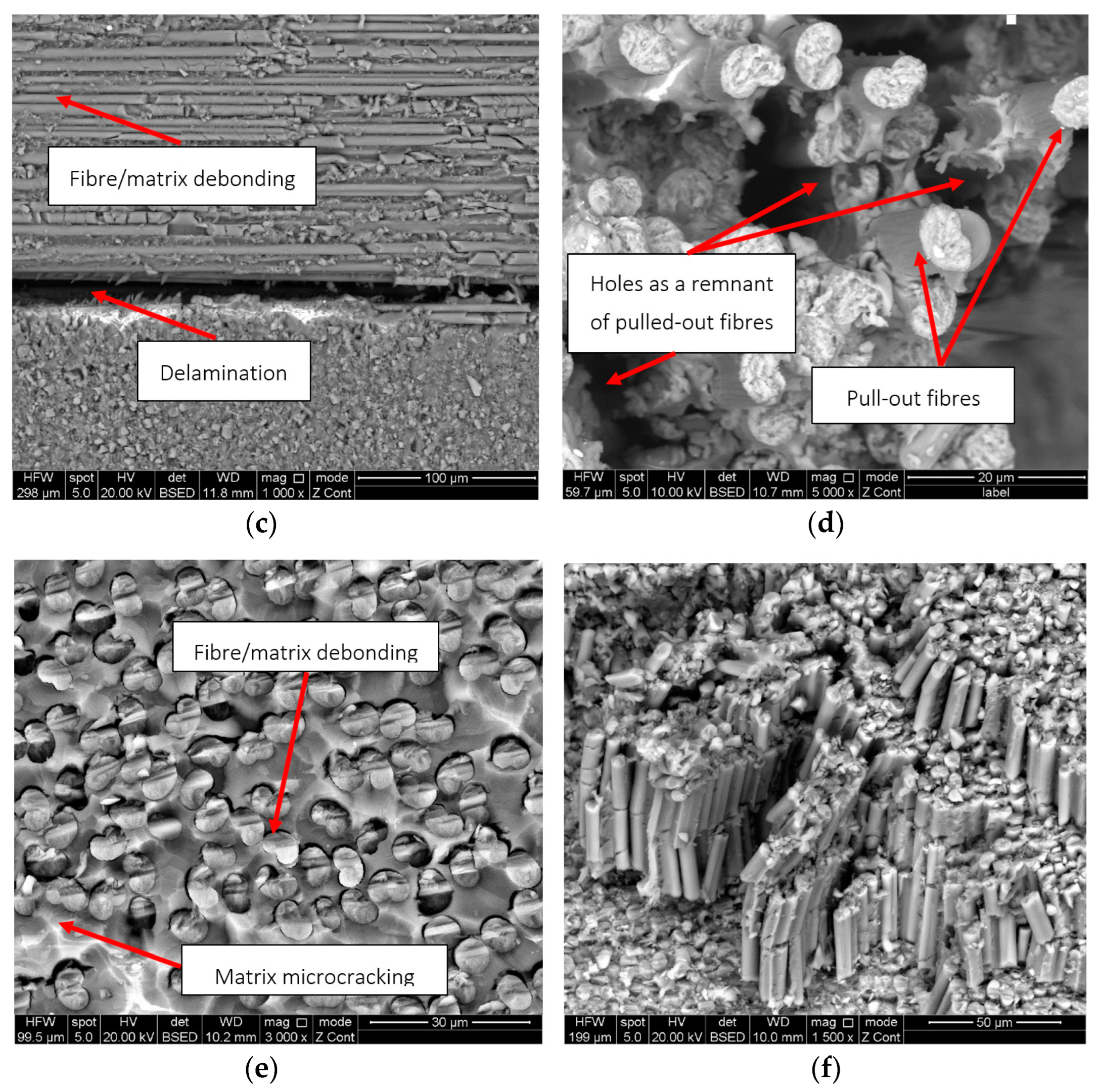 Polymers 15 00047 g007b