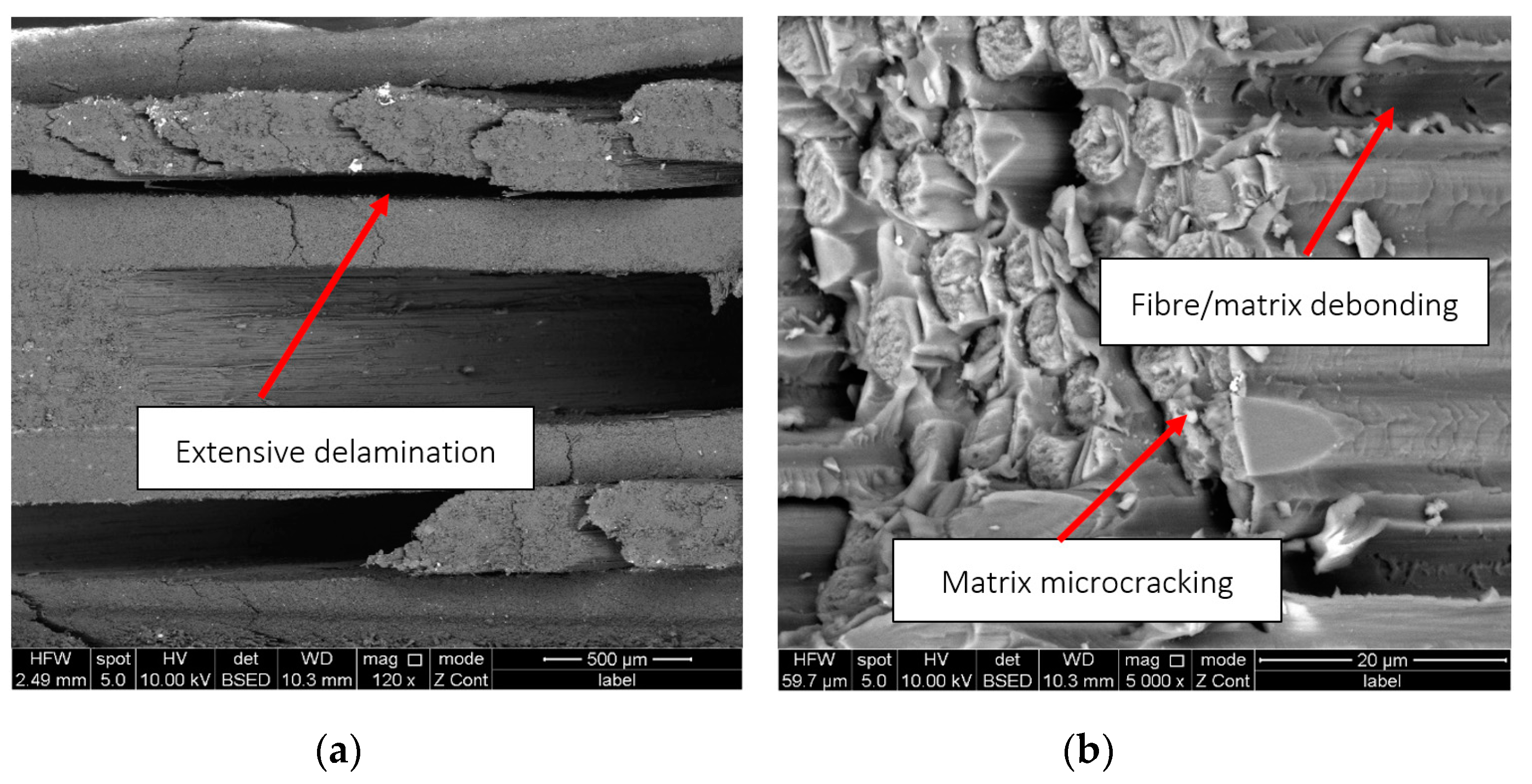 Polymers 15 00047 g008