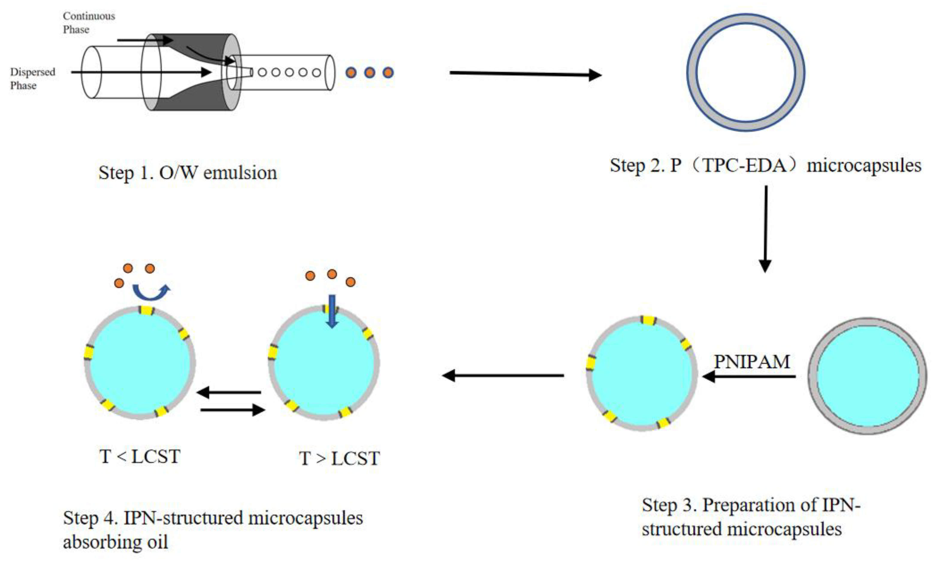 Polymers 15 00053 g001