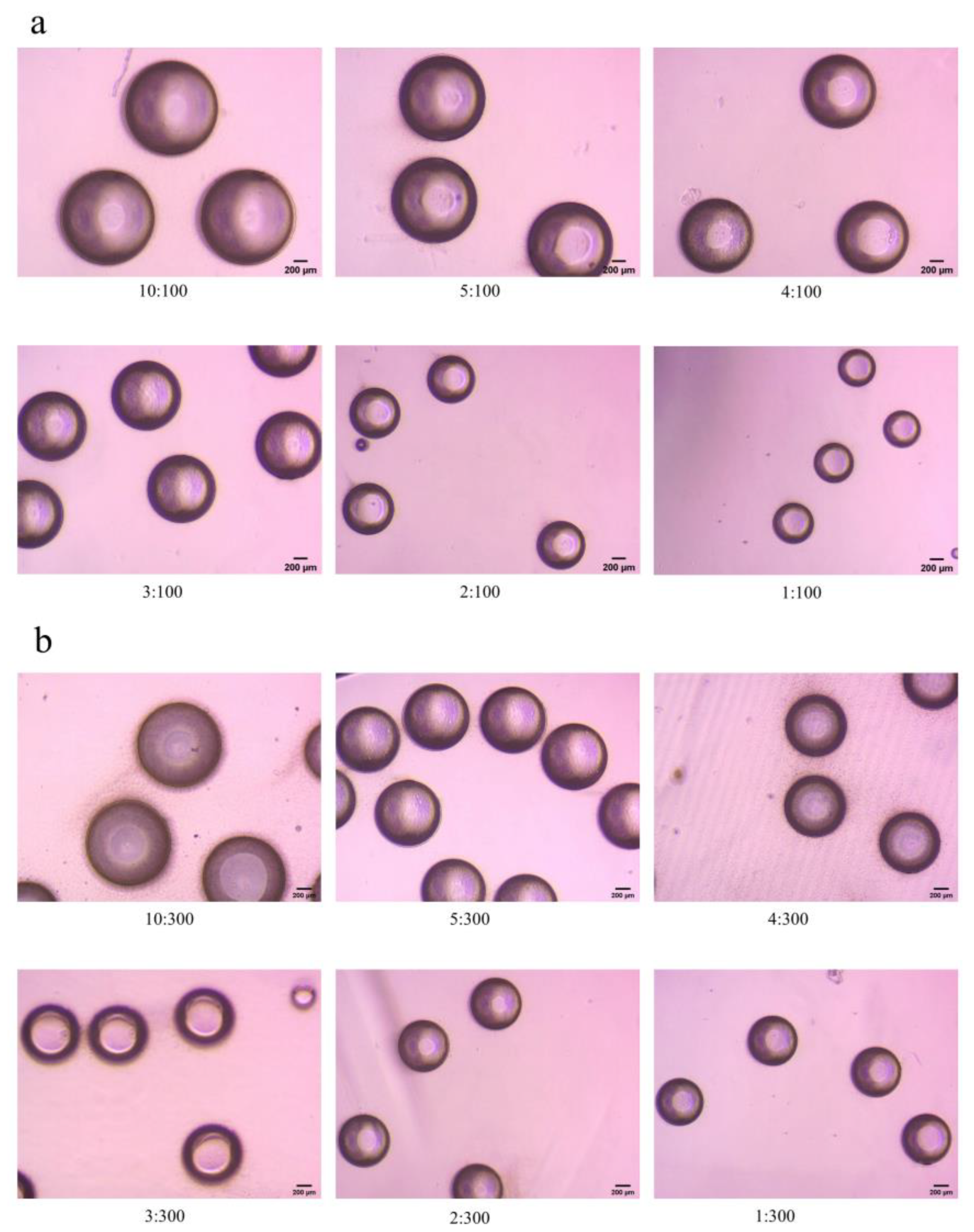 Polymers 15 00053 g002