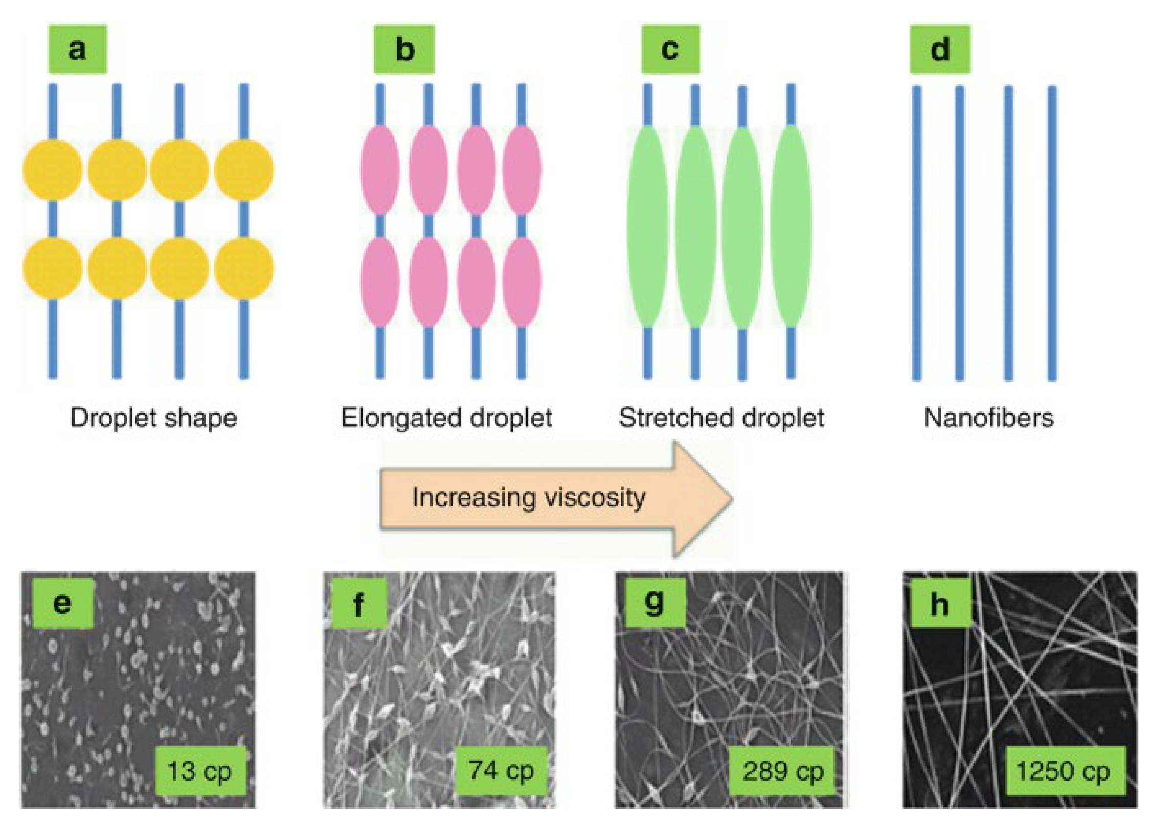 Polymers 15 00065 g008