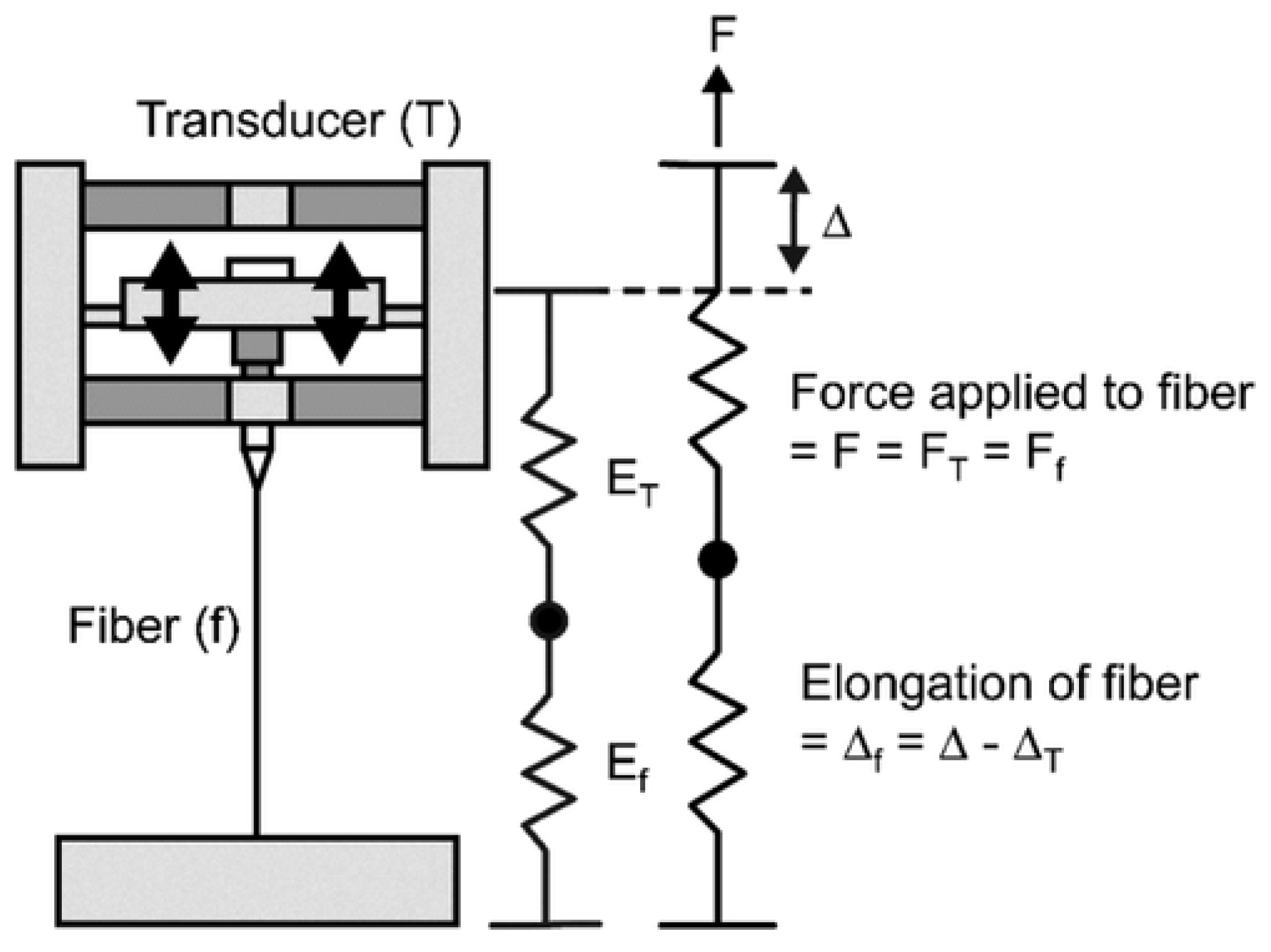 Polymers 15 00065 g010