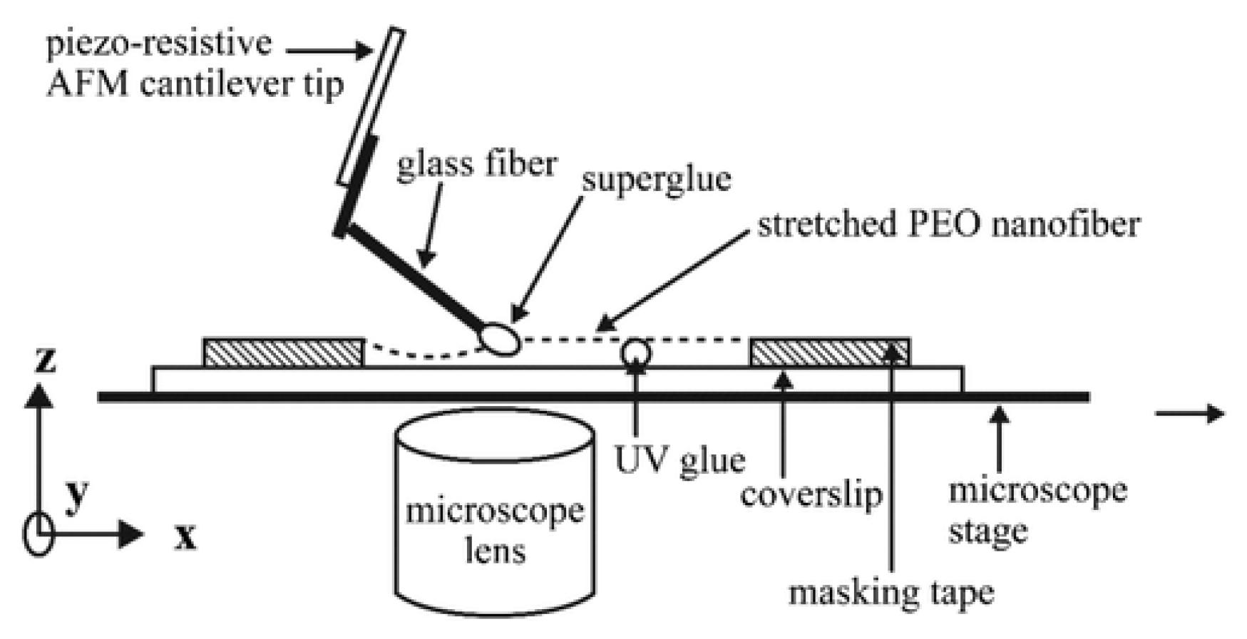 Polymers 15 00065 g011