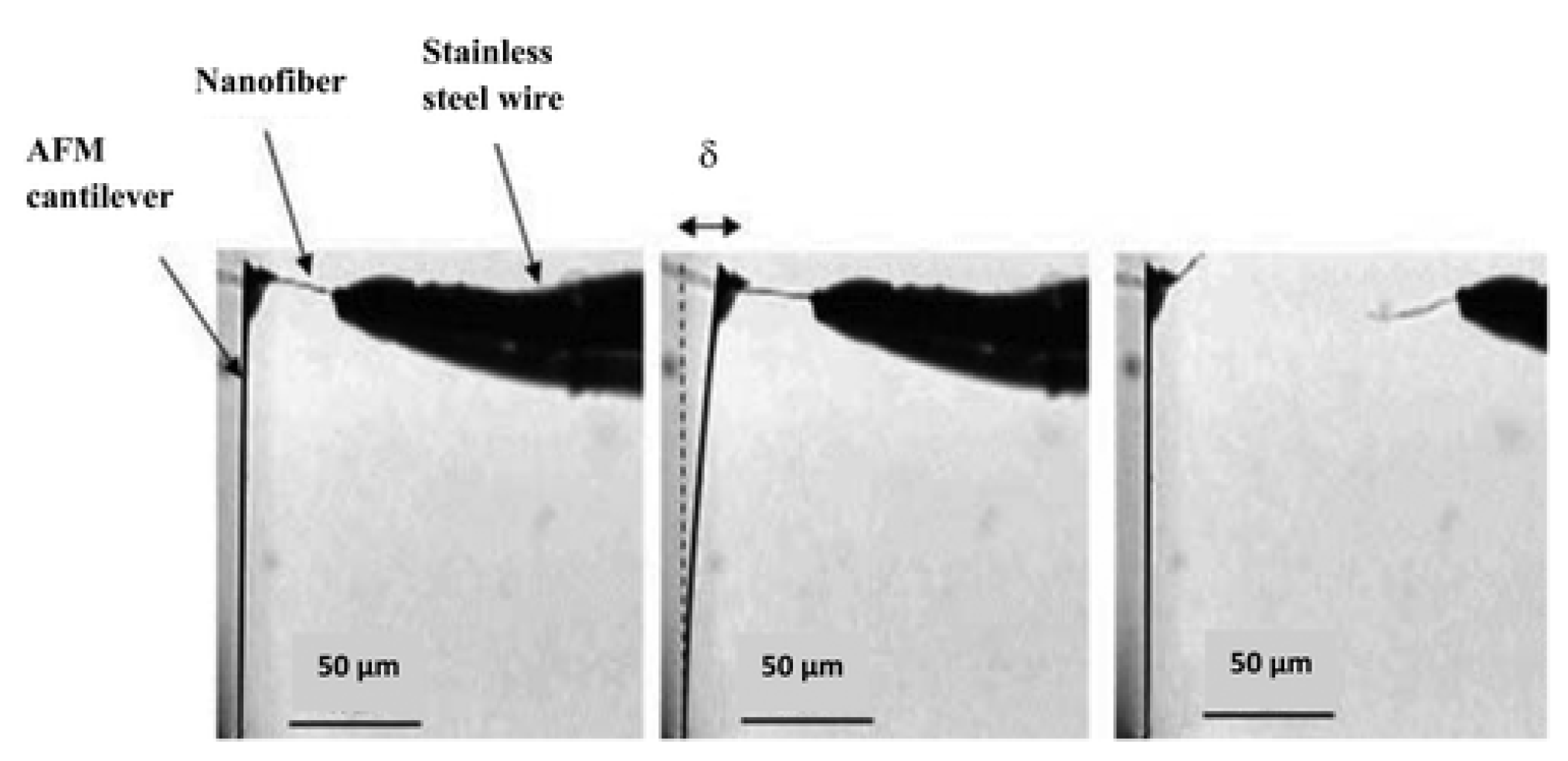 Polymers 15 00065 g012