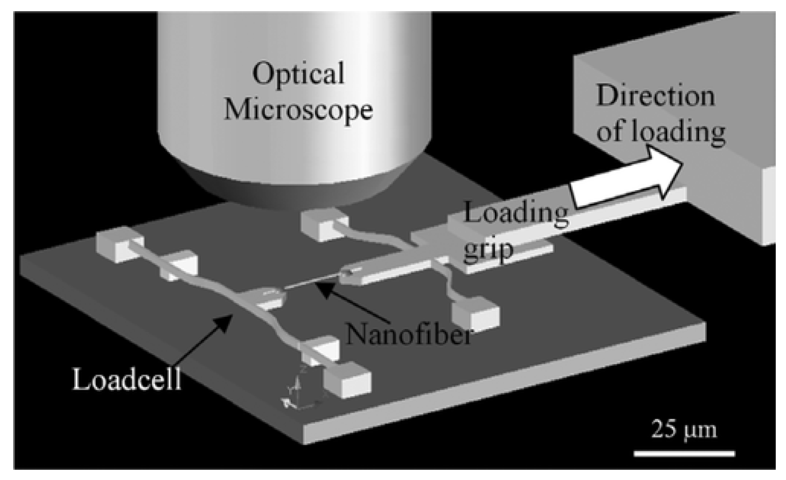 Polymers 15 00065 g013