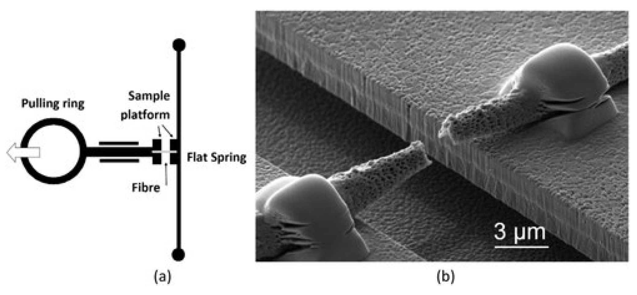 Polymers 15 00065 g014