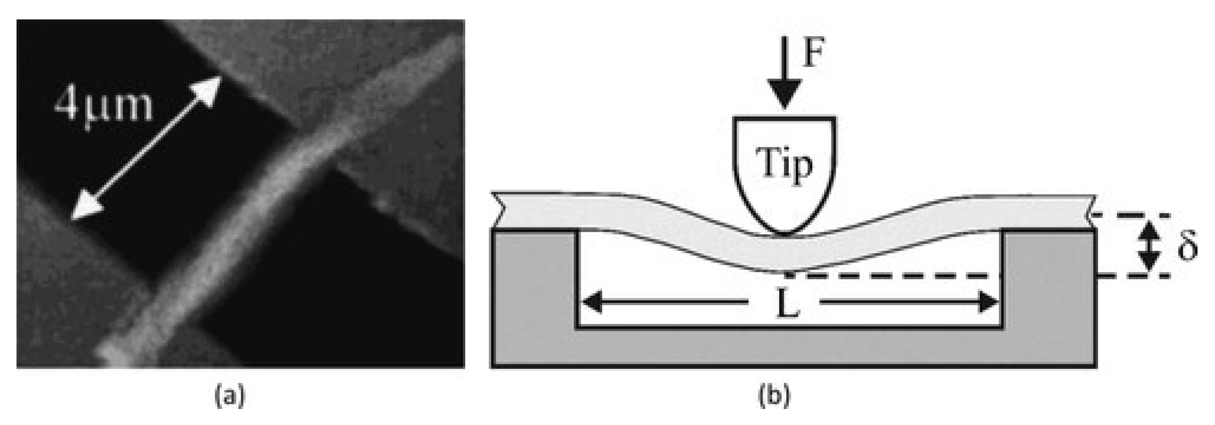 Polymers 15 00065 g018
