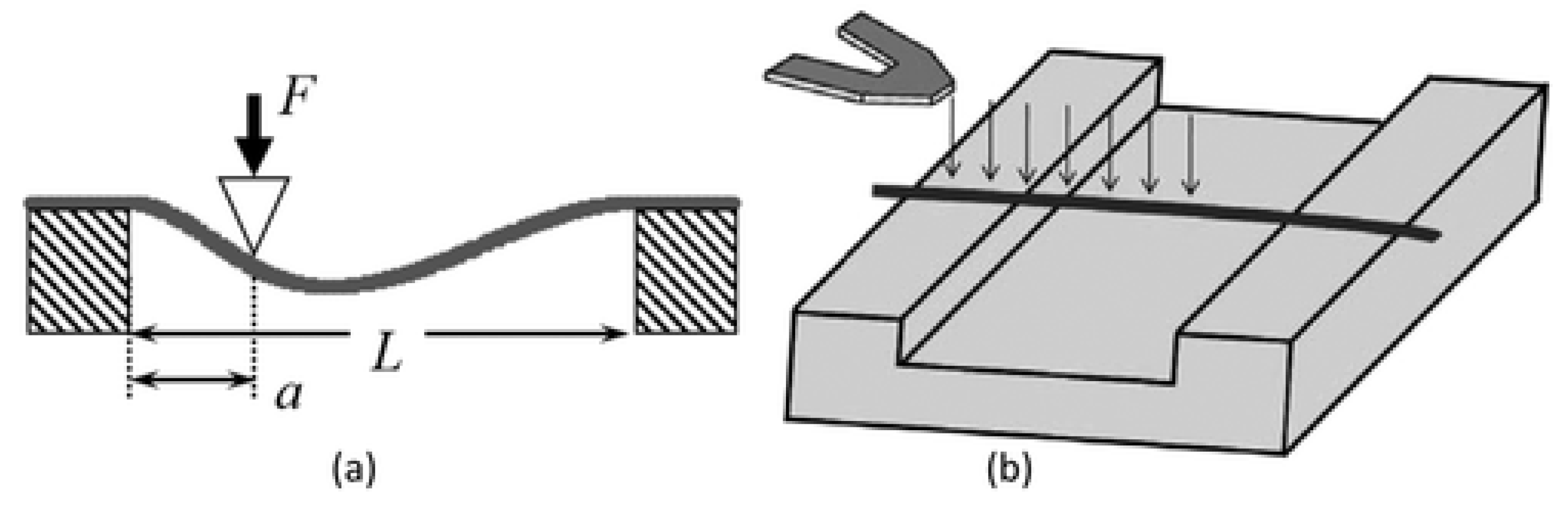 Polymers 15 00065 g019
