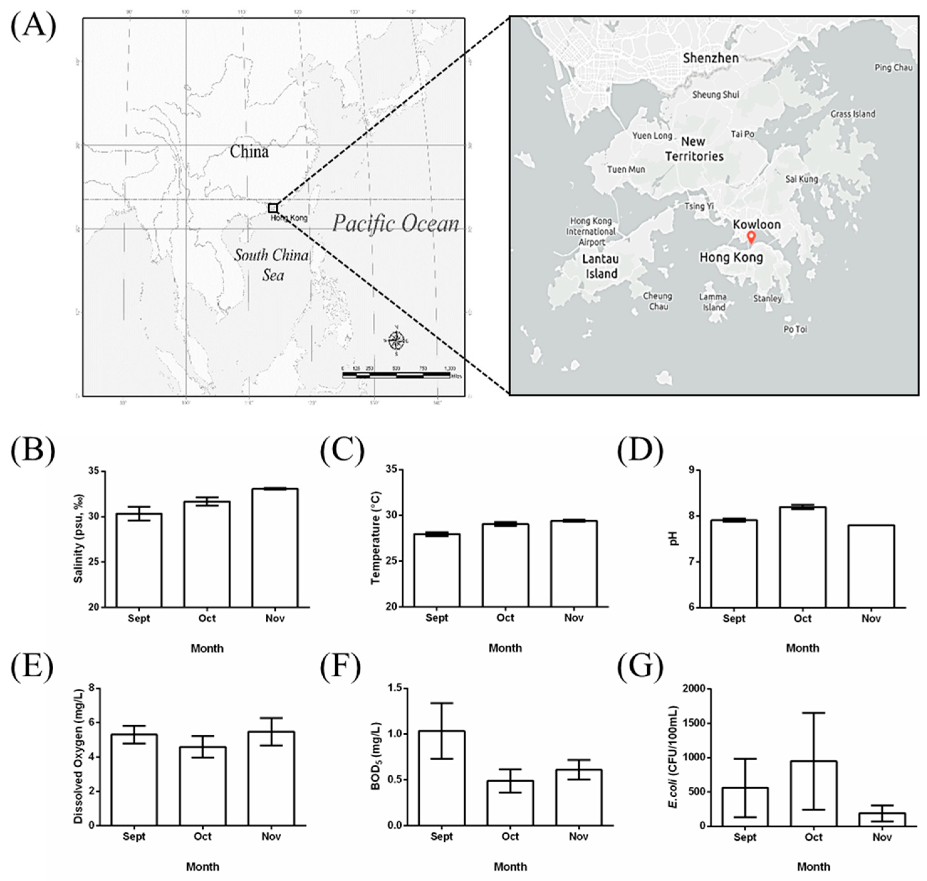 Polymers 15 00082 g001