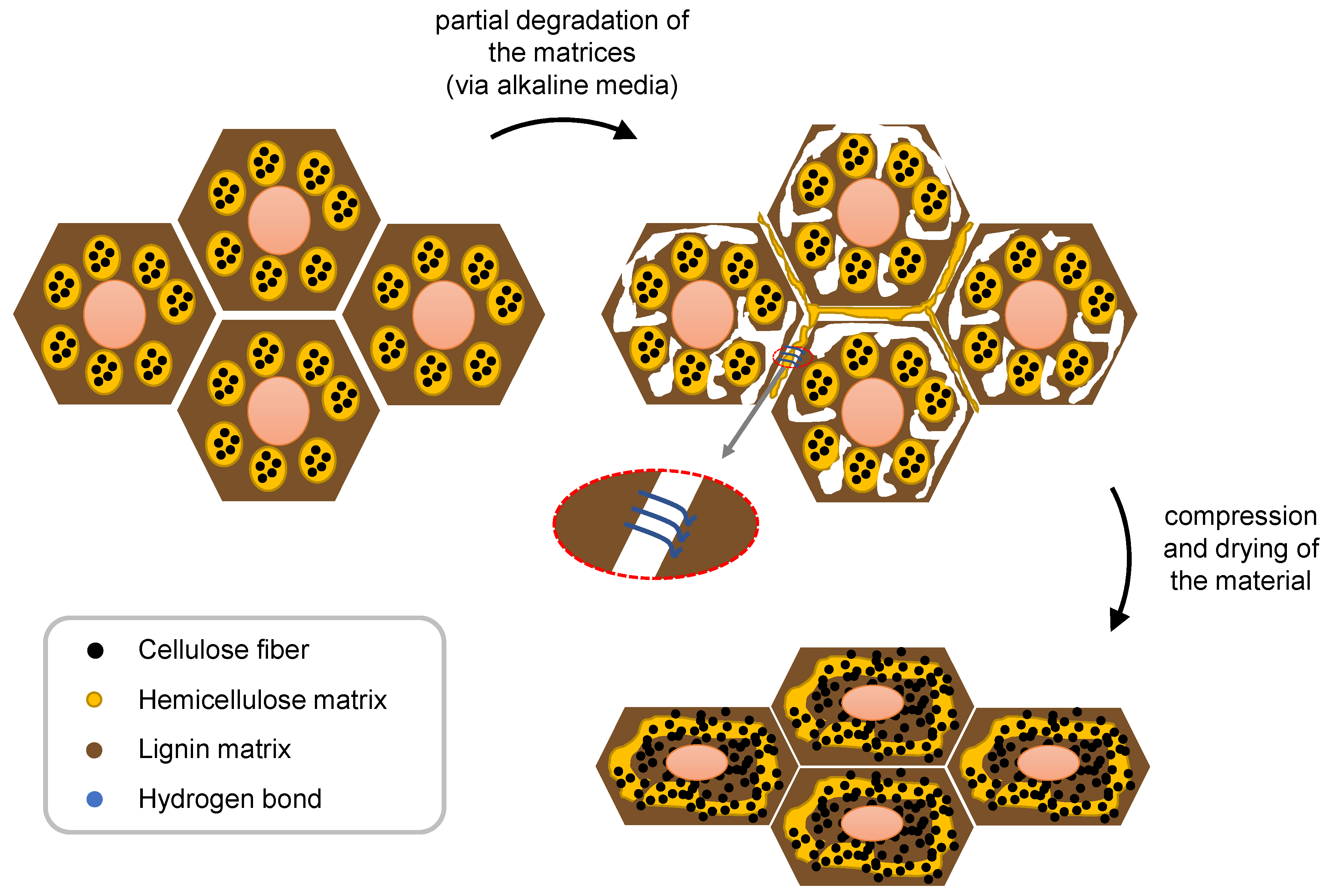 Polymers 15 00089 g005