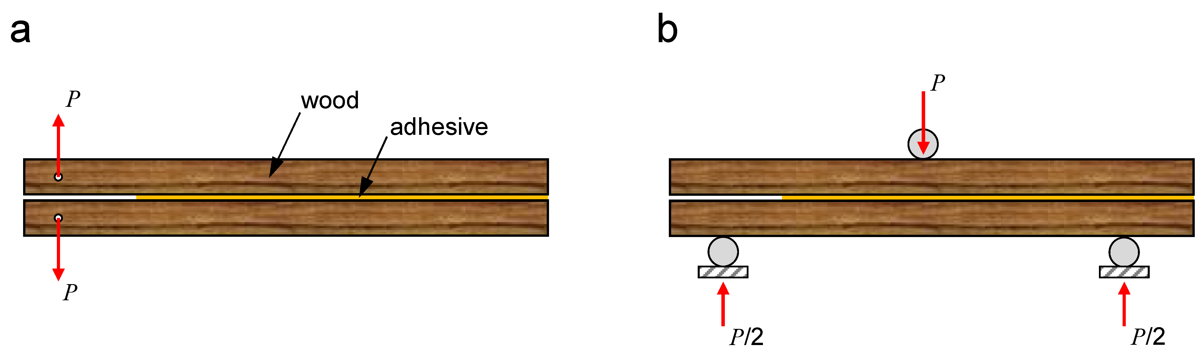 Polymers 15 00089 g008
