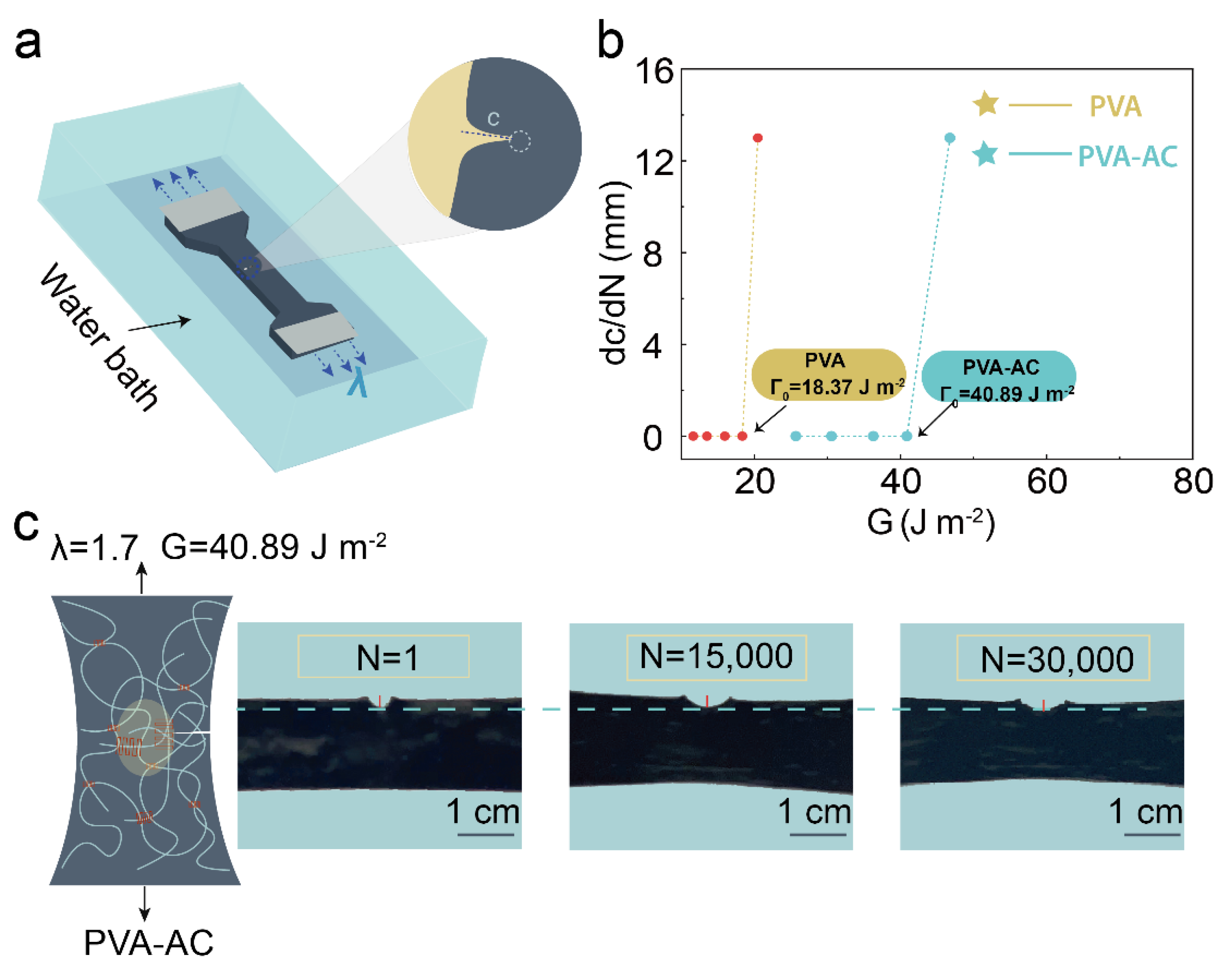 Polymers 15 00090 g003 Polymers 15 00090 g003