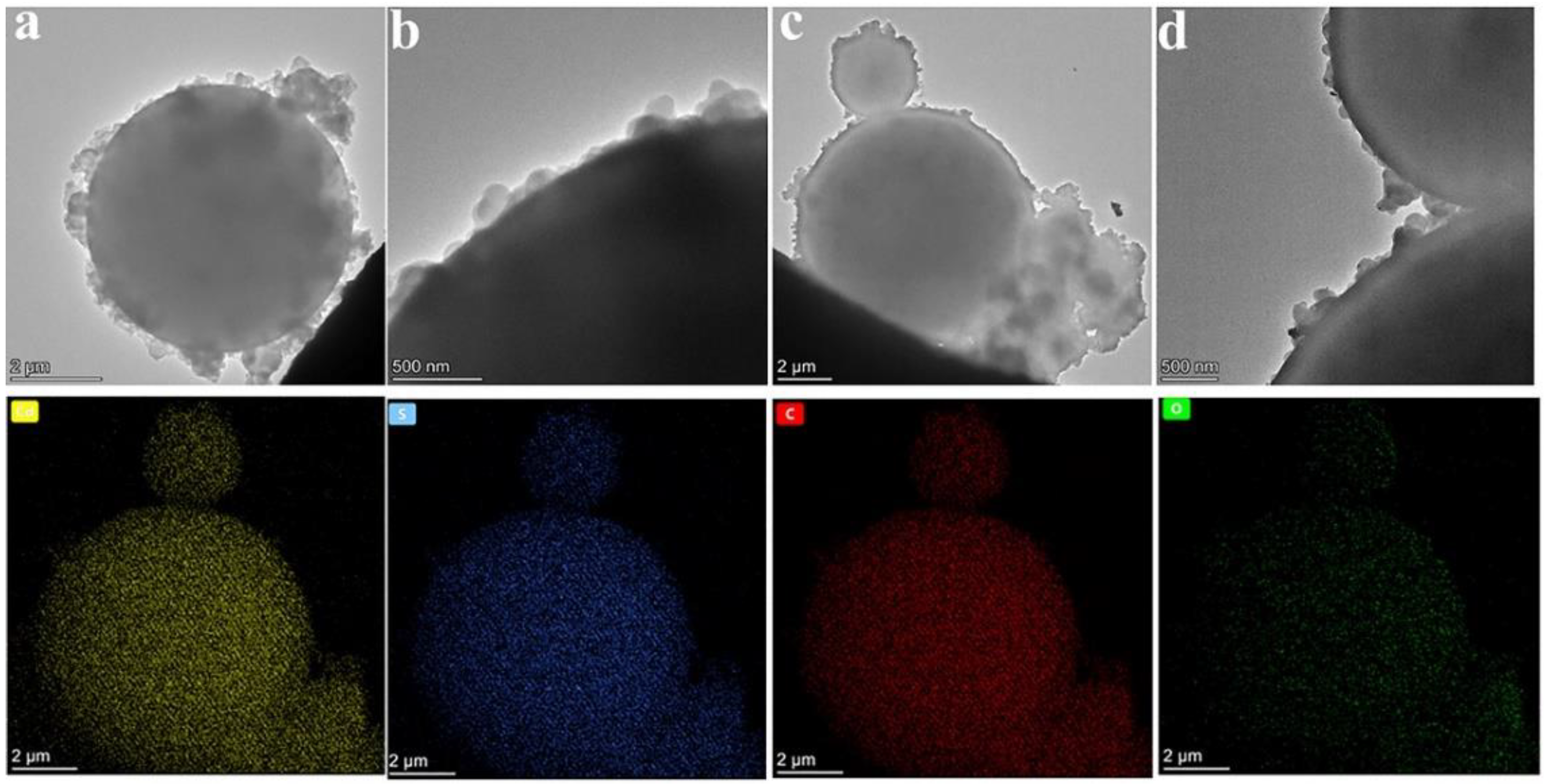 Polymers 15 00106 g005 Polymers 15 00106 g005