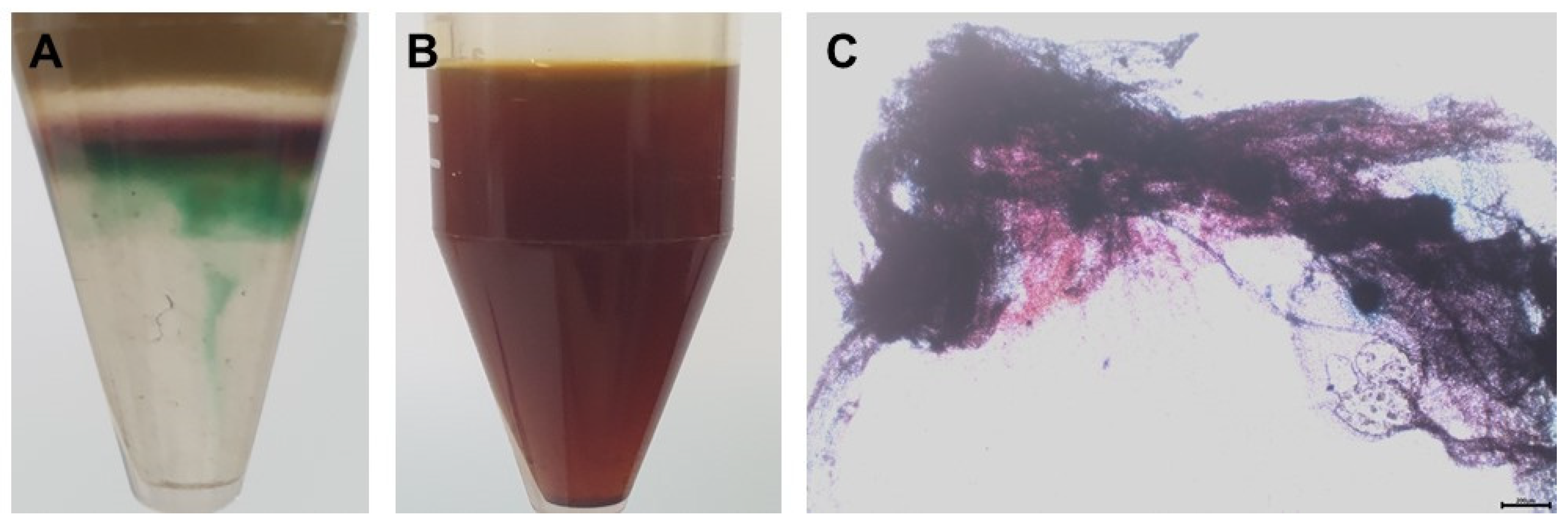 Polymers 15 00113 g002 Polymers 15 00113 g002