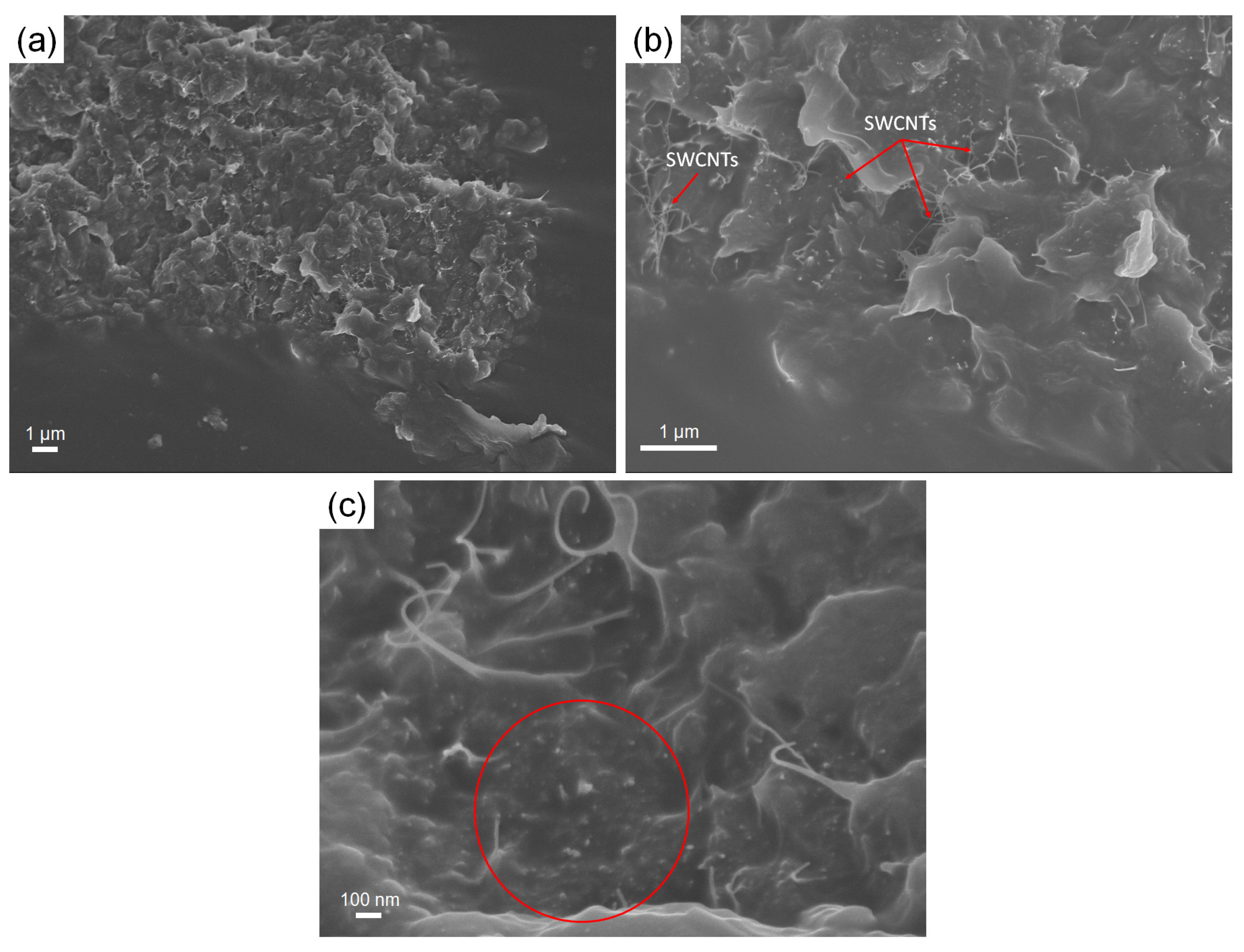 Polymers 15 00126 g004