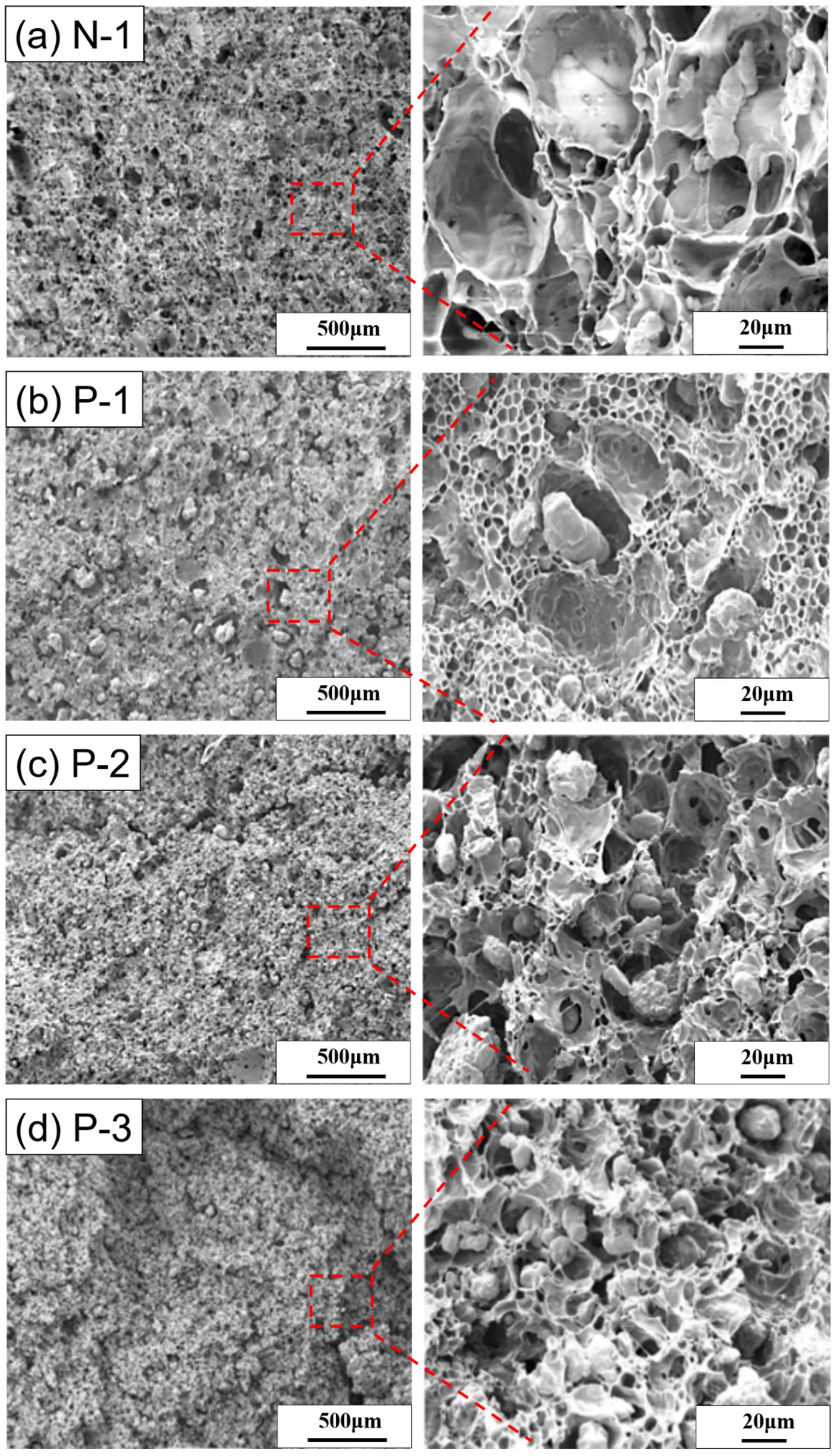 Polymers 15 00129 g003