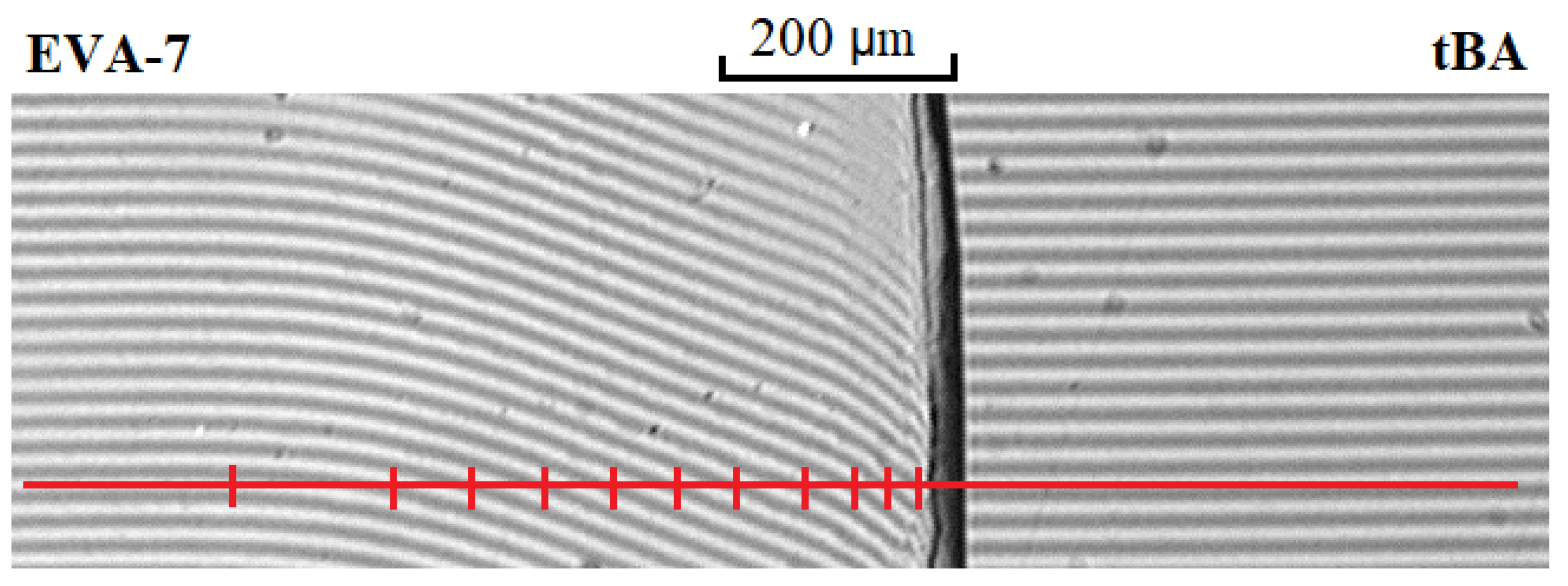 Polymers 15 00131 g001