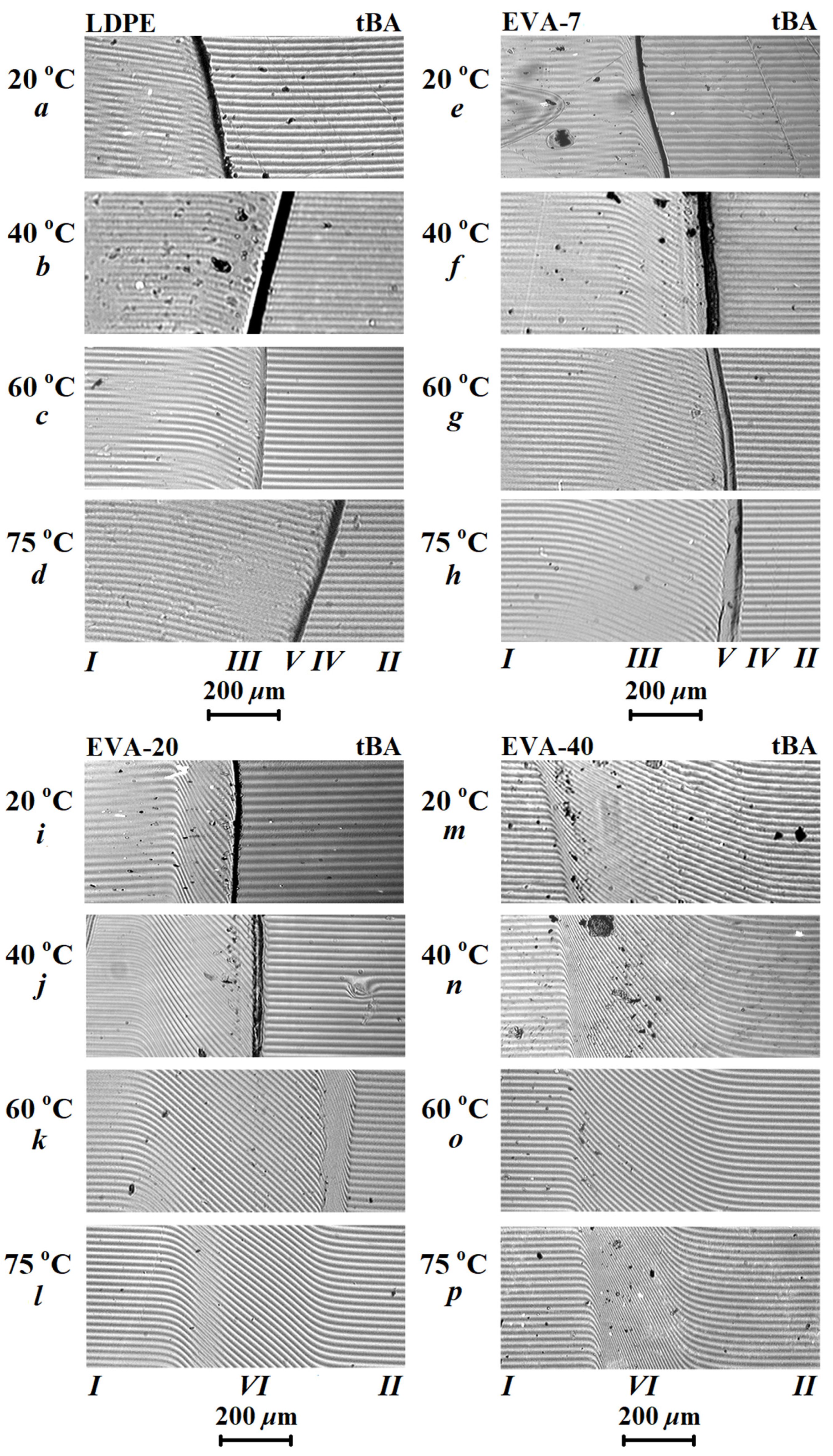 Polymers 15 00131 g003