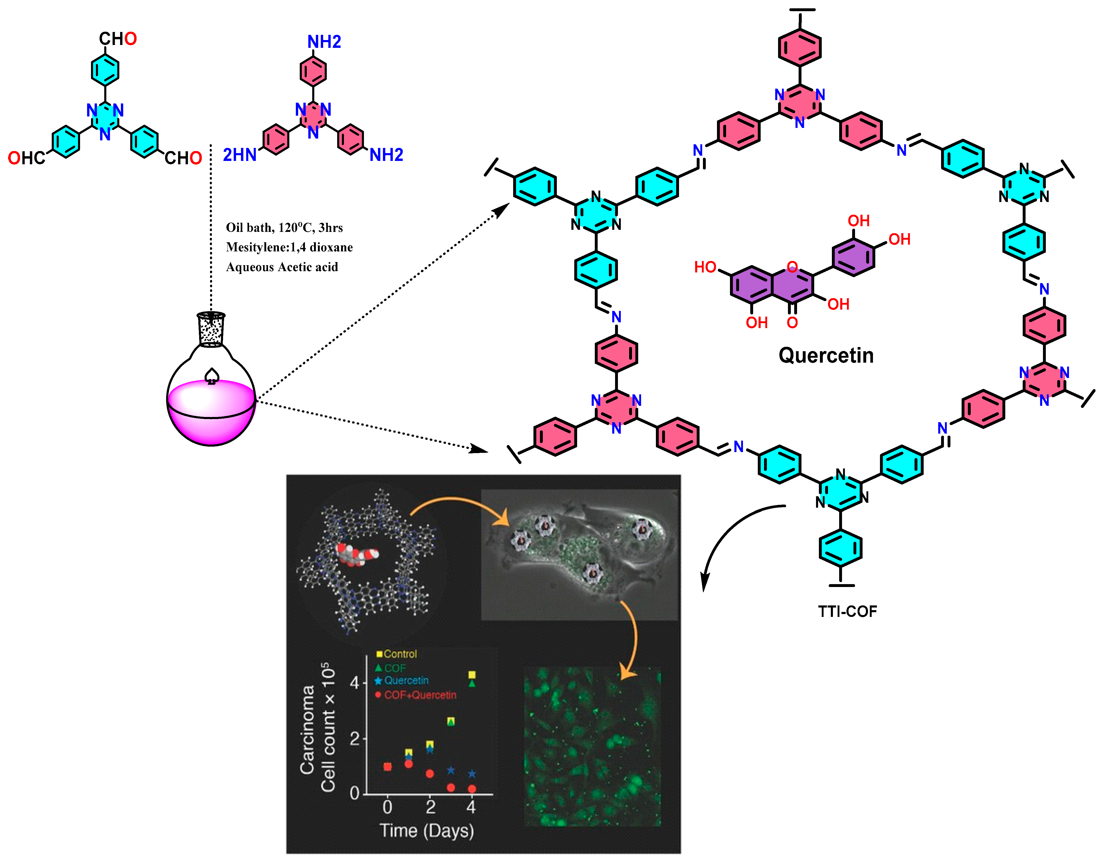 Polymers 15 00139 g003