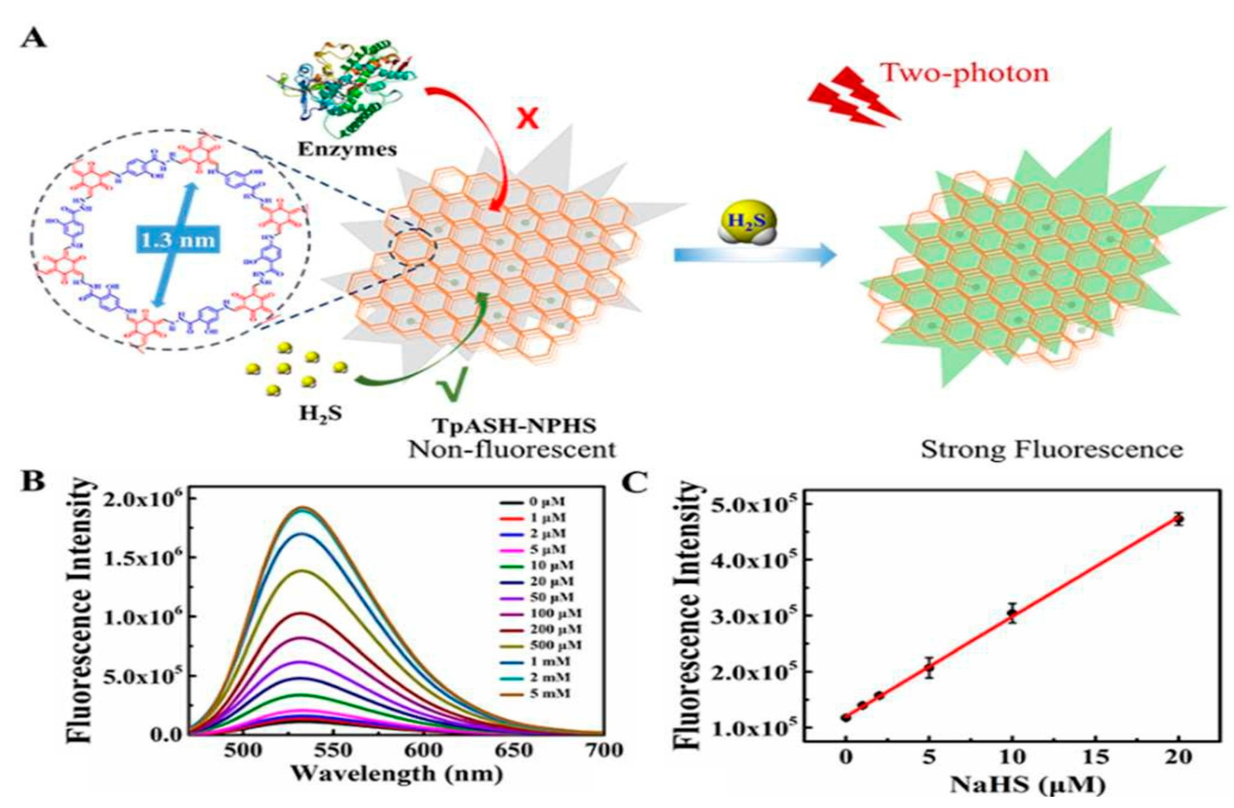 Polymers 15 00139 g011