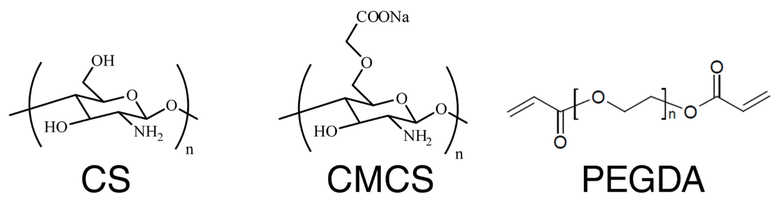 Polymers 15 00144 g001