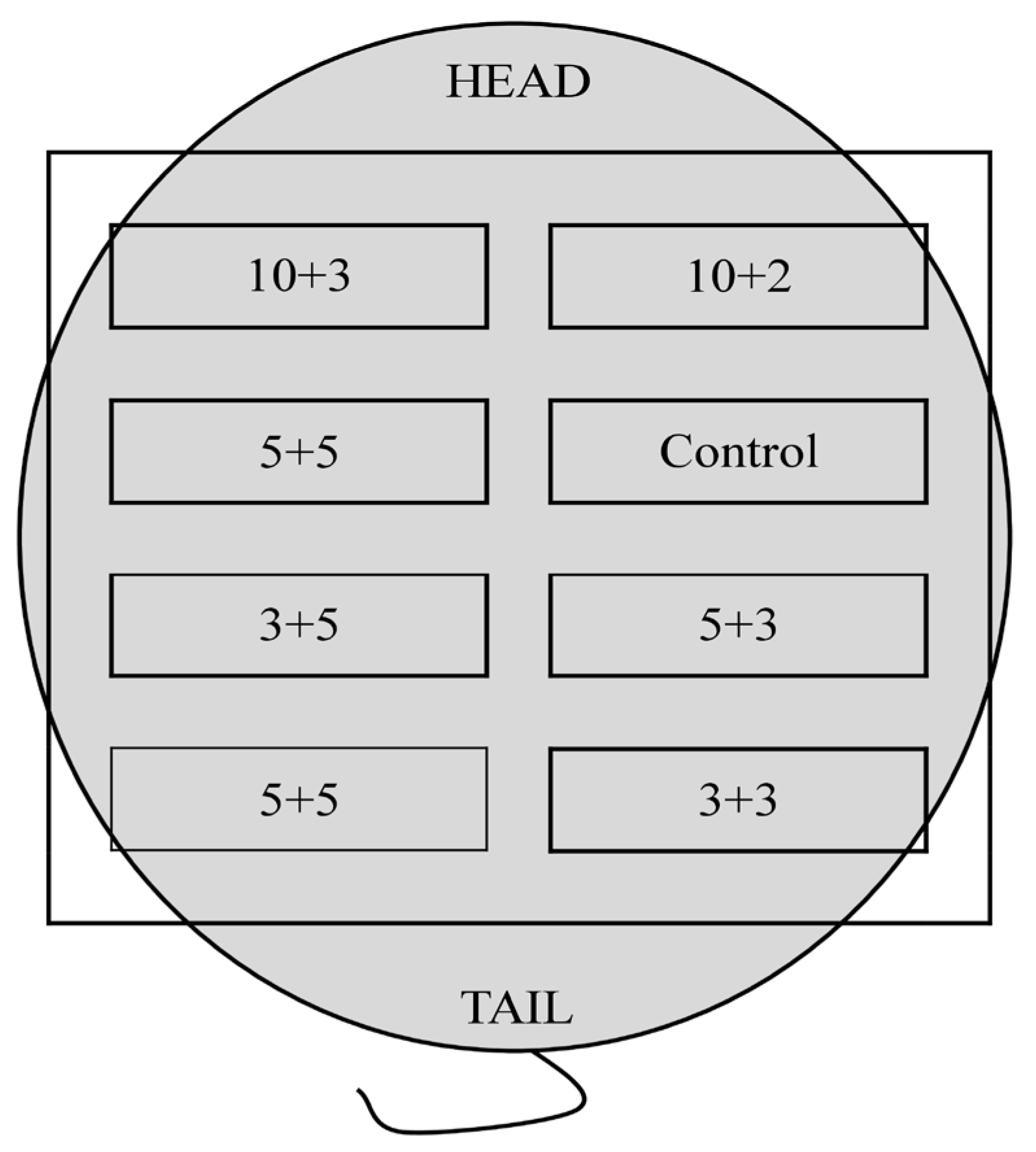 Polymers 15 00144 g002