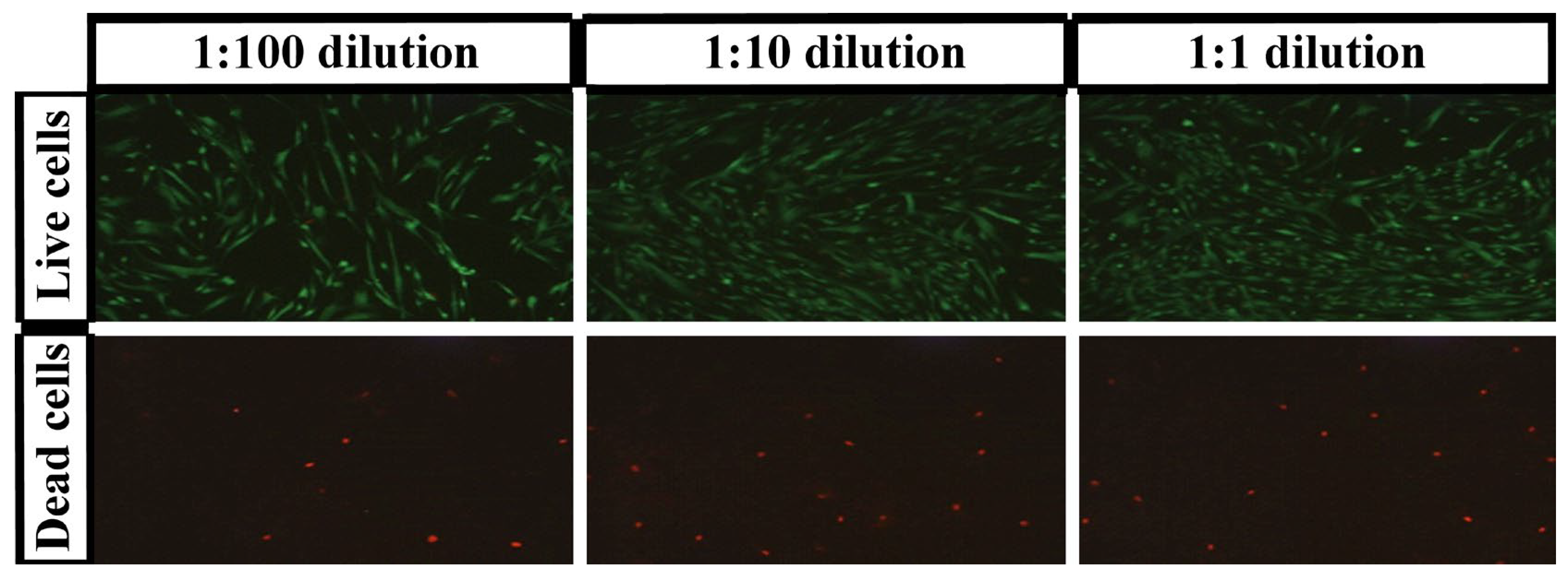 Polymers 15 00144 g006
