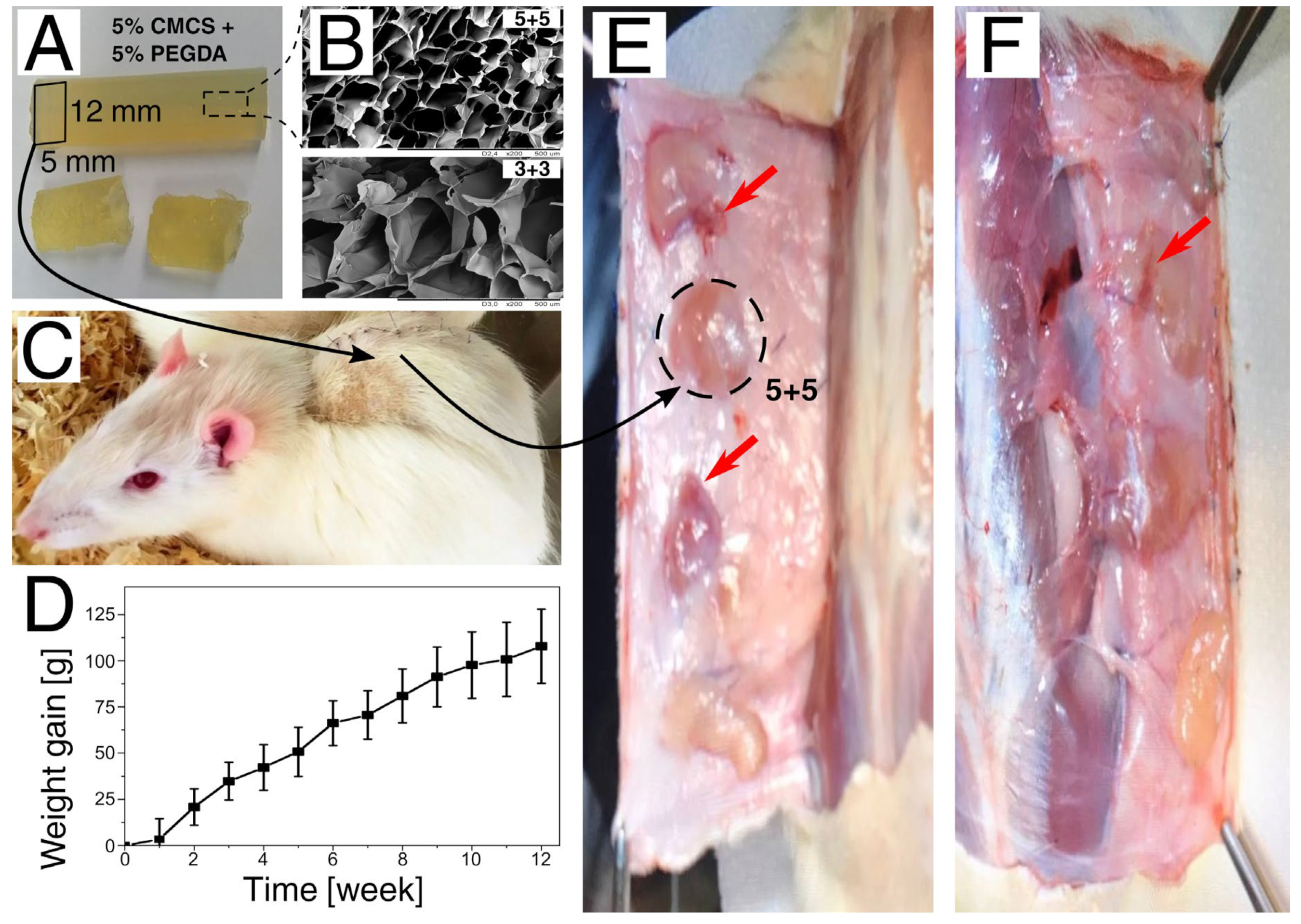 Polymers 15 00144 g007