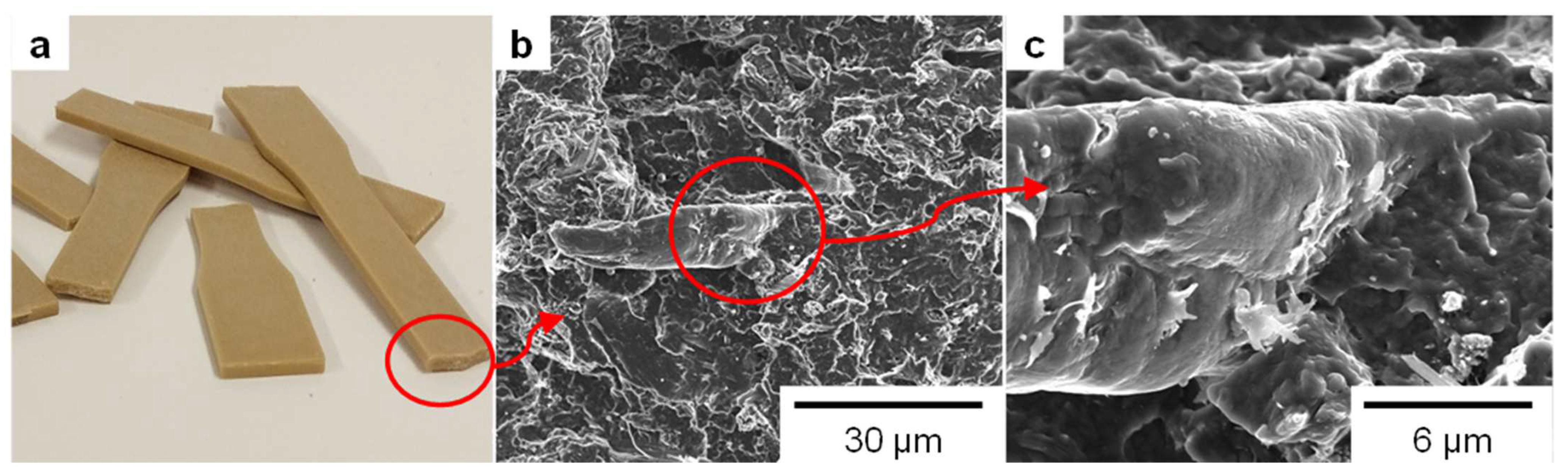 Polymers 15 00146 g004