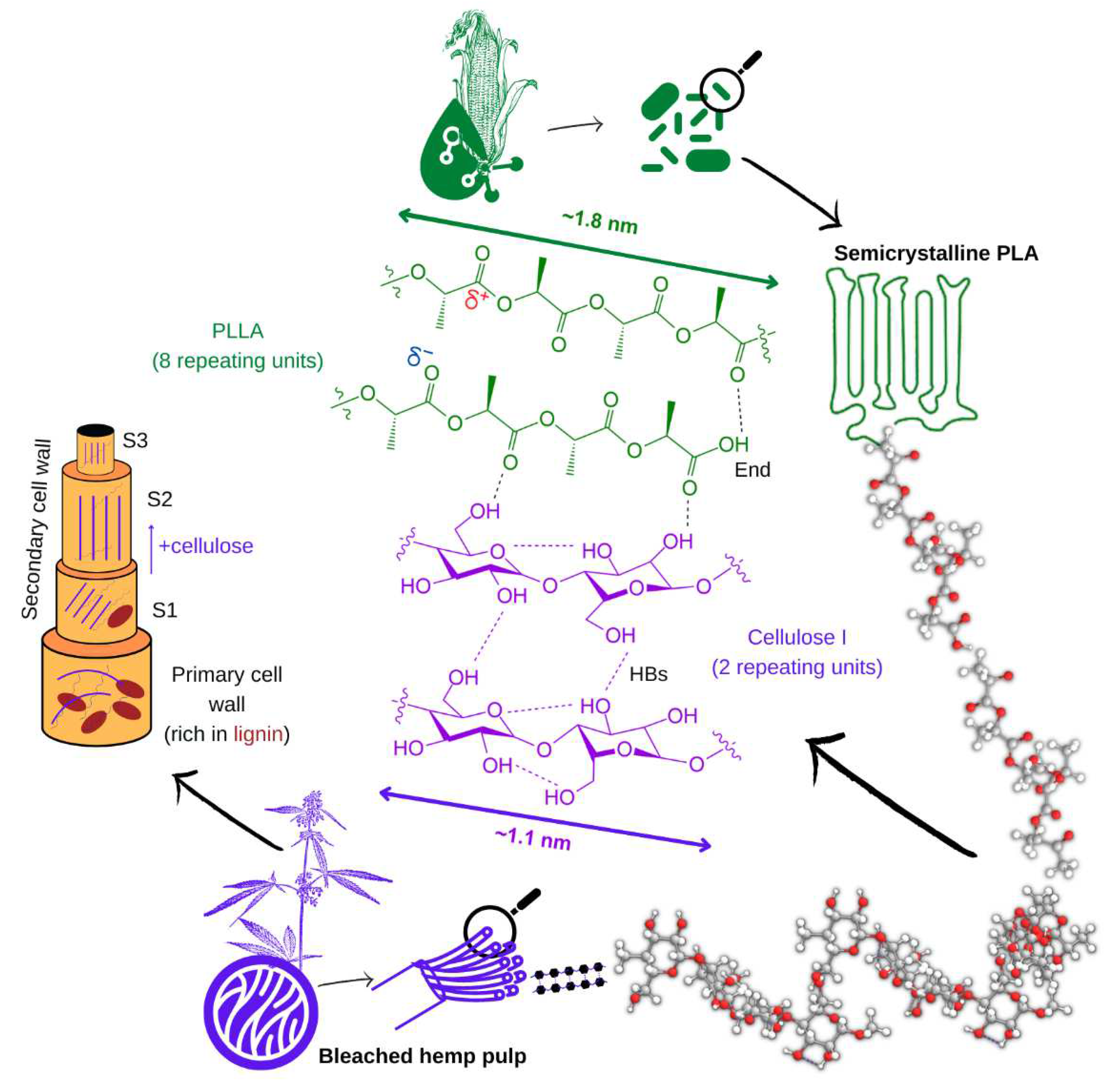 Polymers 15 00146 g007