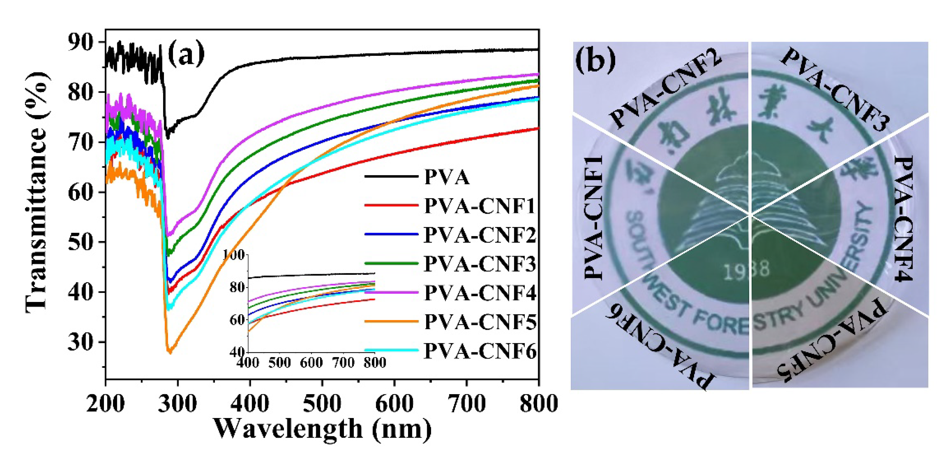 Polymers 15 00148 g002