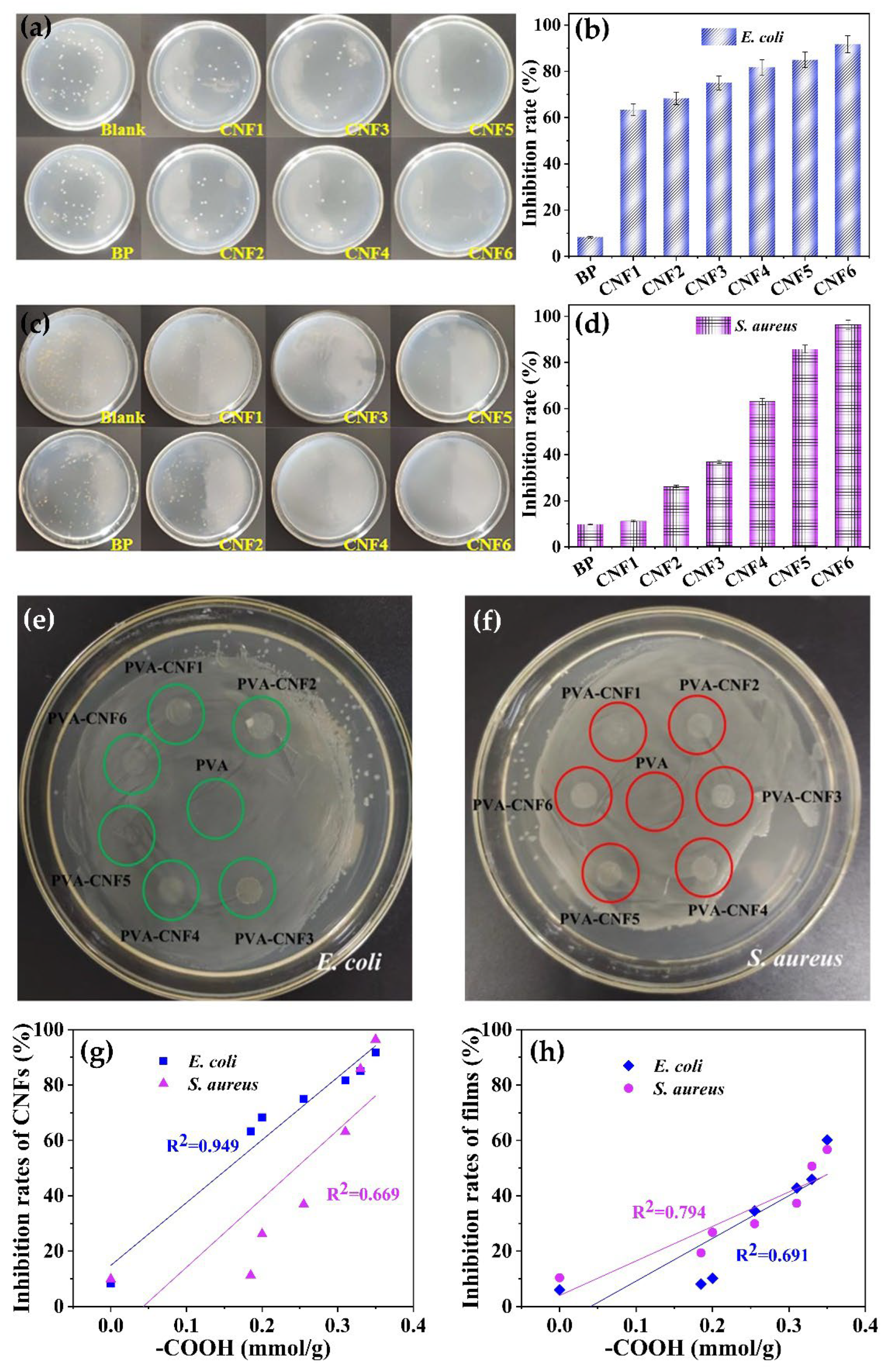Polymers 15 00148 g005